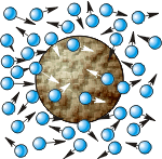 Броуновское движение часто моделируют при помощи множества малых шариков и одного большого шара. Под шариками понимают молекулы воды, а под шаром — броуновскую частицу (спору или другую). В реальности размеры молекул и спор различаются в несколько тысяч раз.