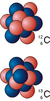 Сравнение ядер углерода-12 и углерода-13. Количество протонов в них одинаково и равно шести, что соответствует порядковому номеру углерода в таблице Менделеева. Количество нейтронов в ядрах этих изотопов равны соответственно 6 и 7.